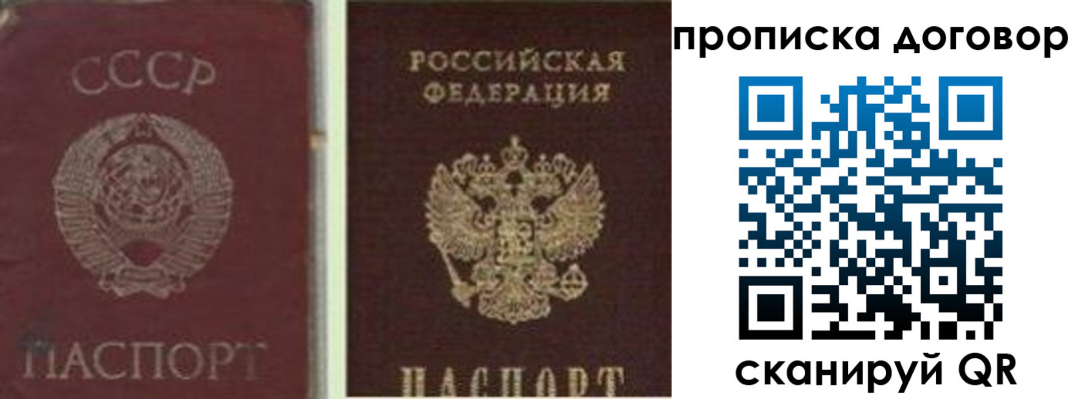 прописка гарантия в Электростали